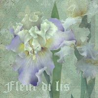 Jeanne Downing Photo 9