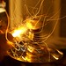Dallas Sparks Photo 13