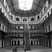 James Davitt Photo 13