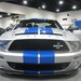 Shelby Parker Photo 20