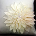 Amy Snow Photo 24