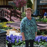 Carol Wolfe Photo 38