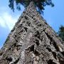 Debra Krueger Photo 22