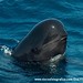 David Calderon Photo 30