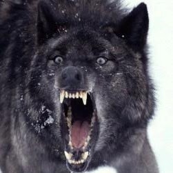 Jacob Tanner Photo 15