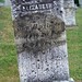 Elizabeth Harrington Photo 13
