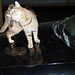 Amy Mchenry Photo 31