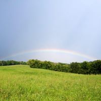 Beth Houser Photo 13