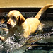 Ray Ramsey Photo 2
