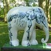 Cynthia Bernheim Photo 10