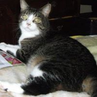 Debra North Photo 30
