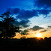 Binh Doan Photo 11