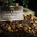 Robert Reardon Photo 39