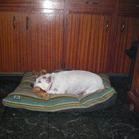 Patsy Powers Photo 22