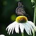 Kimberly Sisco Photo 10