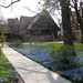 Hilary Wright Photo 7