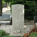 Raymond Saunders Photo 41