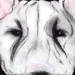 Debra Whiting Photo 12