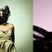 Carla Bird Photo 14