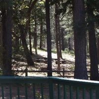 Tammy Kohn Photo 7