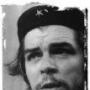 Rex Dale Photo 18