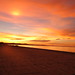 Binh Phan Photo 29