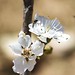Kathy Cherry Photo 19