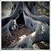 Barbara Root Photo 9