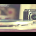 Lester Sola Photo 10