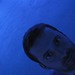 Matthew Payne Photo 36