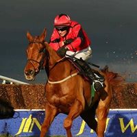 Steven Wylie Photo 14