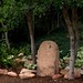 Connie Workman Photo 14
