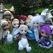Alice Crews Photo 11