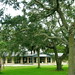 Dennis Shell Photo 9