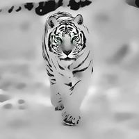 Mune Gowda Photo 14