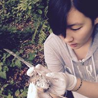 Katherine Liu Photo 15