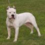 Denise Mccoy Photo 26