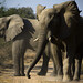 Michael Hutchens Photo 15