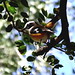 Robin Parry Photo 31