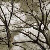 Meredith Armstrong Photo 21