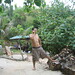 Dao Dang Photo 8