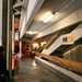 Stephen Mcgill Photo 9