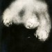 Arthur Doyle Photo 15