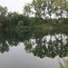 Michael Pavia Photo 16
