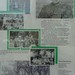 Franklin Robinson Photo 23