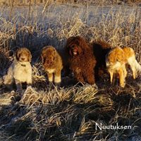 Paula Horne Photo 33