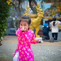 Viet Dinh Photo 31