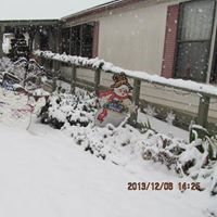 Wanda Middleton Photo 18