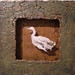 Linda Centers Photo 5