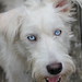 Erica Pepper Photo 4